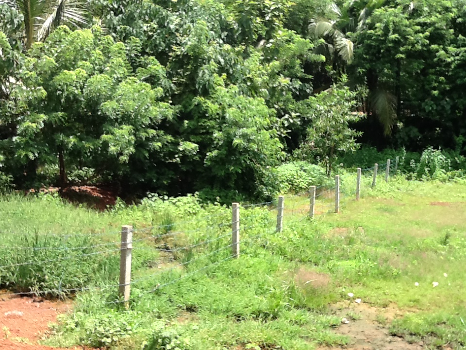 25 Cent Residential Land (Full / Plots ) FOR SALE at Edappal, Near VIVA Palace